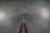 Takeshi Saji 210mm Gyuto B2 Rainbow Damascus Ironwood