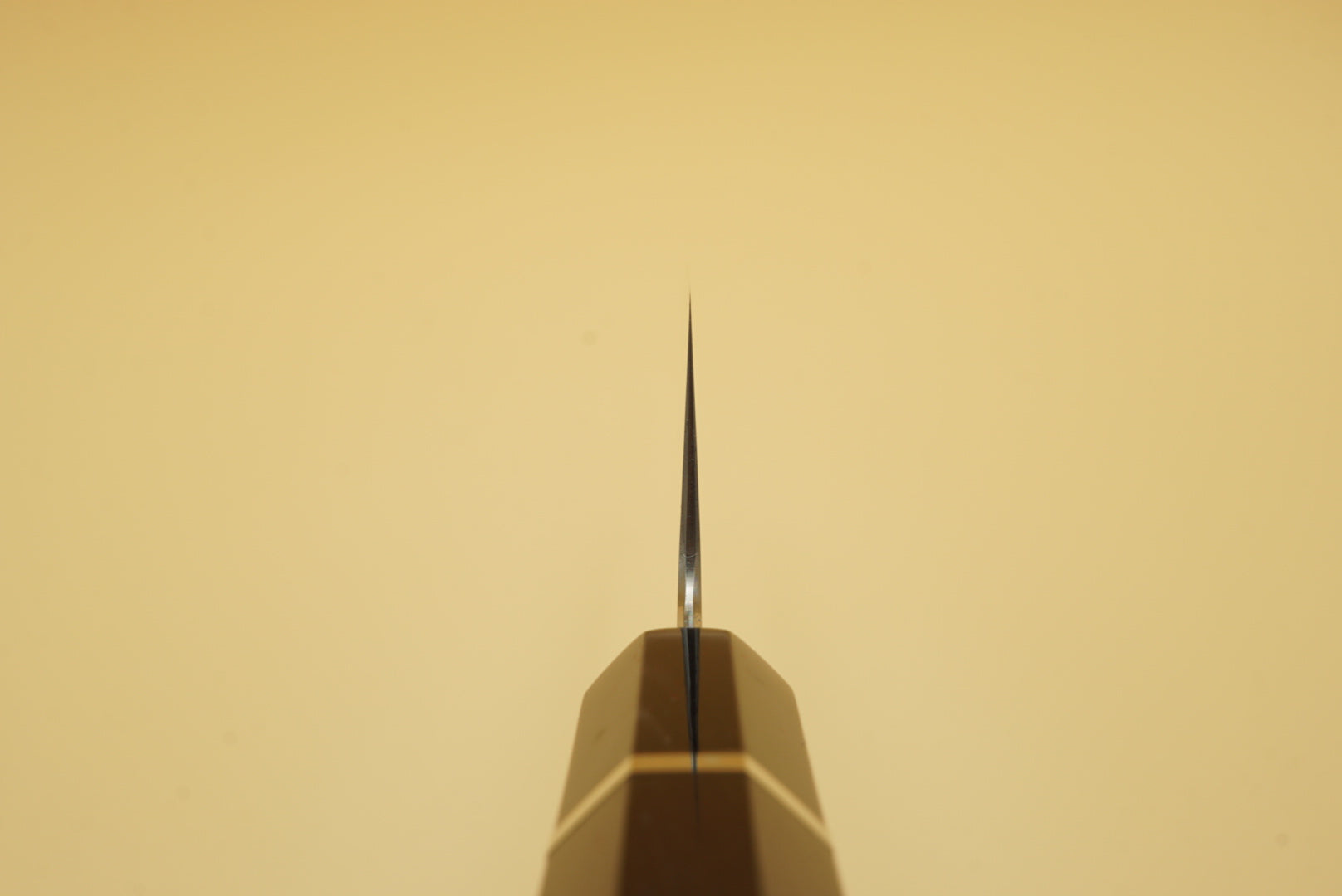 Myojin Riki Seisakusho 240mm SG2 Gyuto